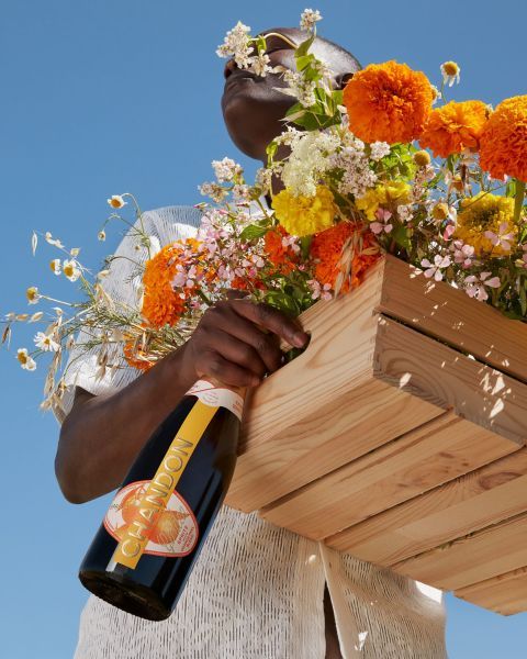 Ginebra rosa lifestyle