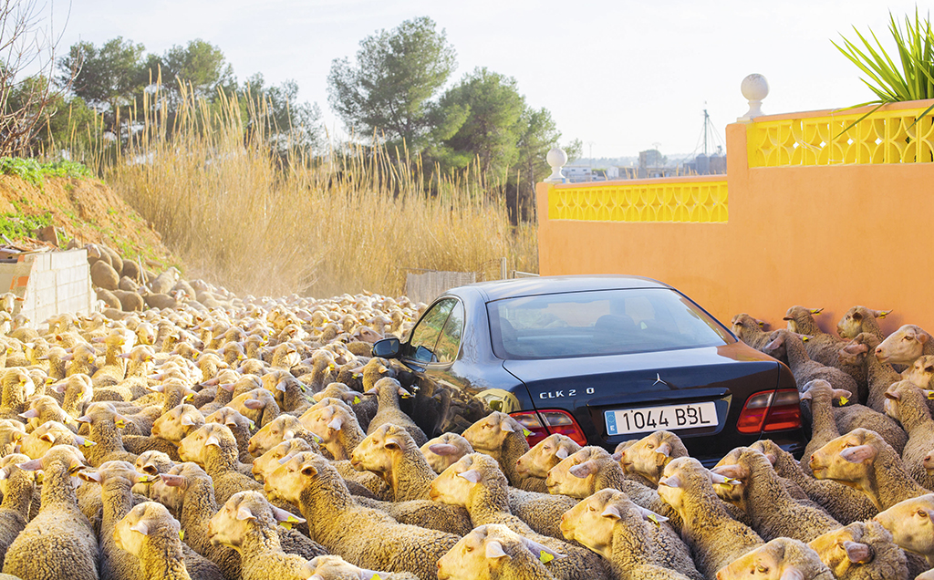 Turmeon Clásico - lifestyle 3