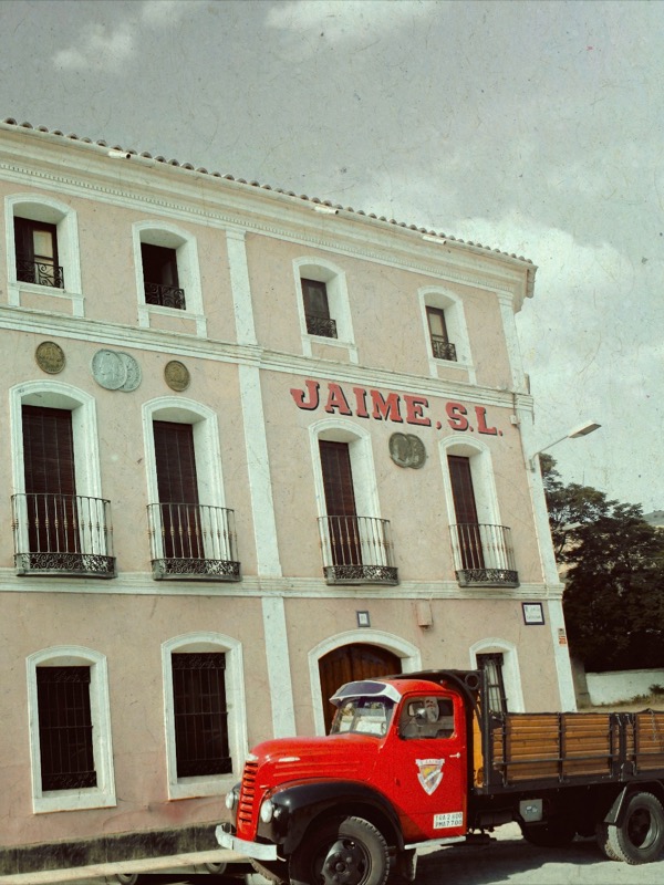 Turmeon en Instagram