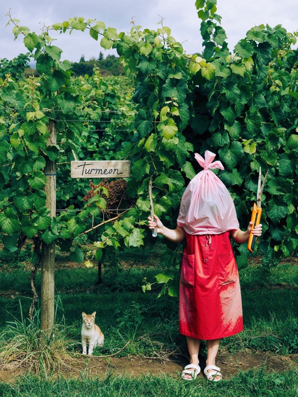 Turmeon en Instagram