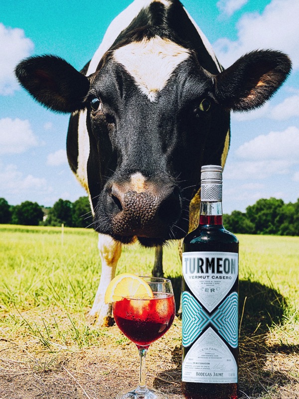 Turmeon en Instagram