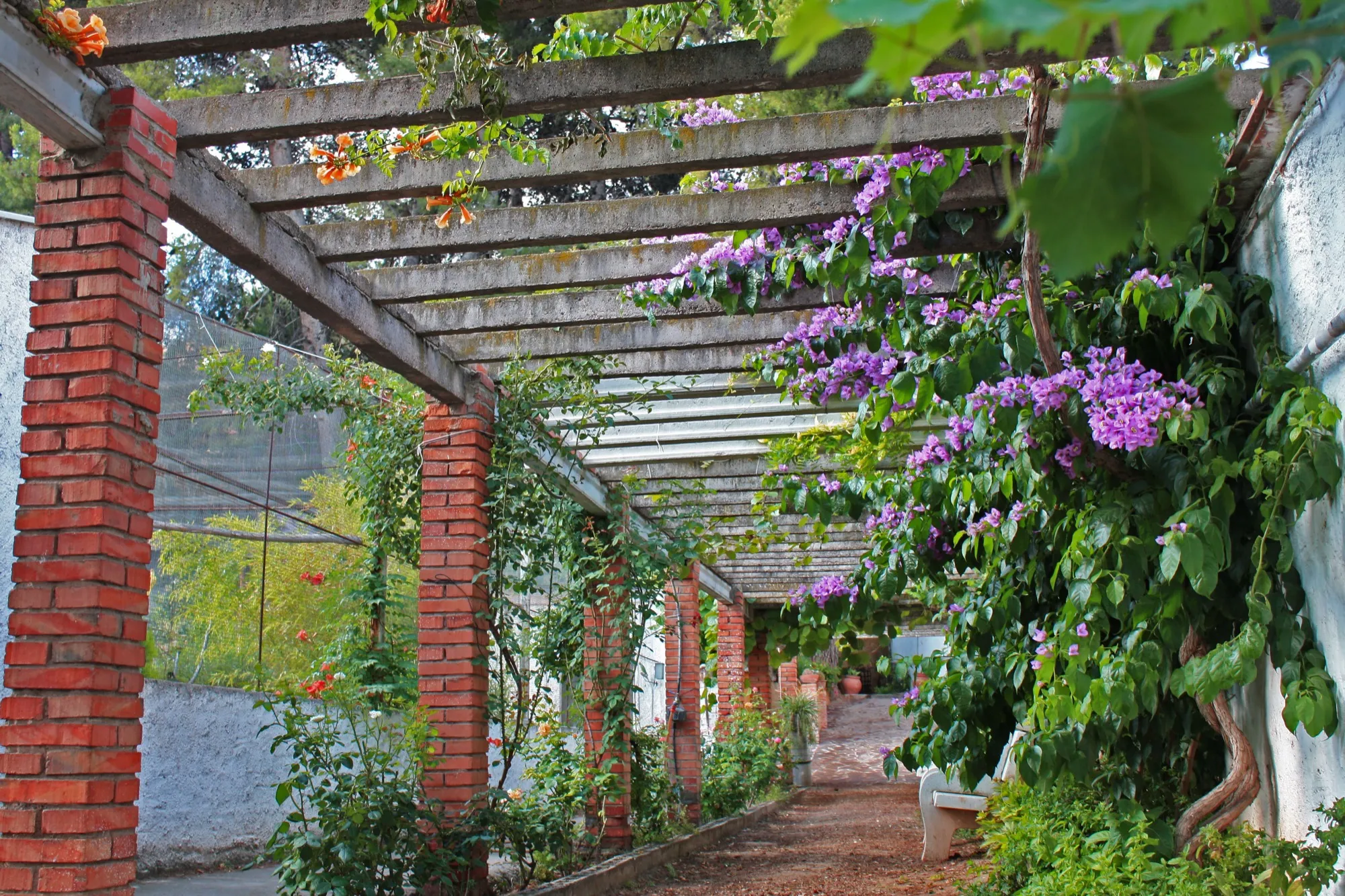 Paseo exterior junto a la bodega Turmeon